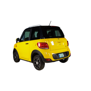 Elektrische stadsauto, 2 zitplaatsen, Smart Balance Pocket