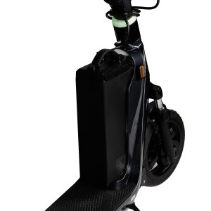 Elektrische scooter, Smart Balance Spring