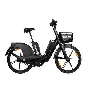 Elektrische fiets, Smart Balance Flow