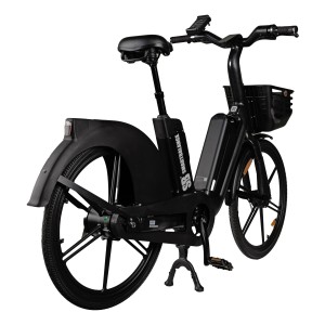 Elektrische fiets, Smart Balance Flow