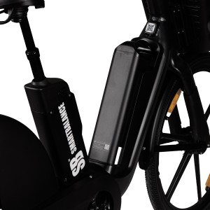 Elektrische fiets, Smart Balance Flow