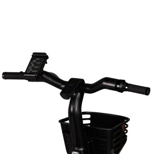 Elektrische fiets, Smart Balance Flow