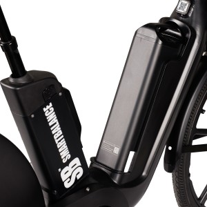 Elektrische fiets, Smart Balance Flow