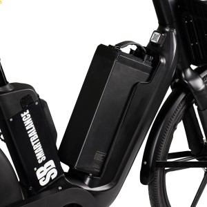 Elektrische fiets, Smart Balance Flow