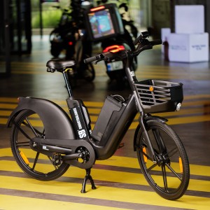 Elektrische fiets, Smart Balance Flow