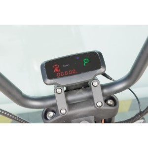 Elektrische bromfiets Harley, SB50 PRO, Vermogen 3000W, Max. snelheid 45 km/u, Bereik 120 km