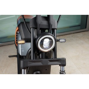 Elektrische bromfiets Harley, SB50 PRO, Vermogen 3000W, Max. snelheid 45 km/u, Bereik 120 km