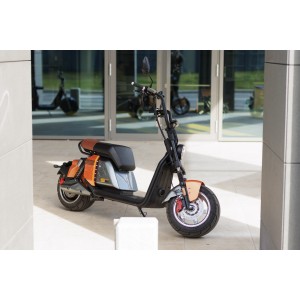 Elektrische bromfiets Harley, SB50 PRO, Vermogen 3000W, Max. snelheid 45 km/u, Bereik 120 km