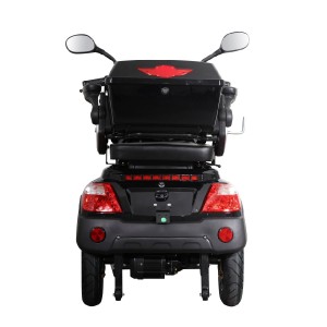 Elektrisch stadsvoertuig, Geen rijbewijs nodig, Smart Balance Mover