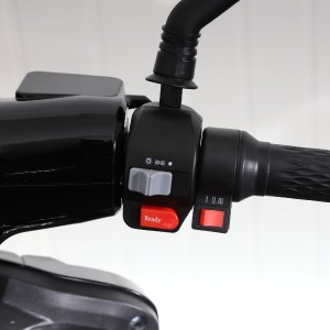 Elektrisch stadsvoertuig, Geen rijbewijs nodig, Smart Balance Mover